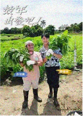 境界体系图鉴标本页,九片叶子按阶位由浅到深排列